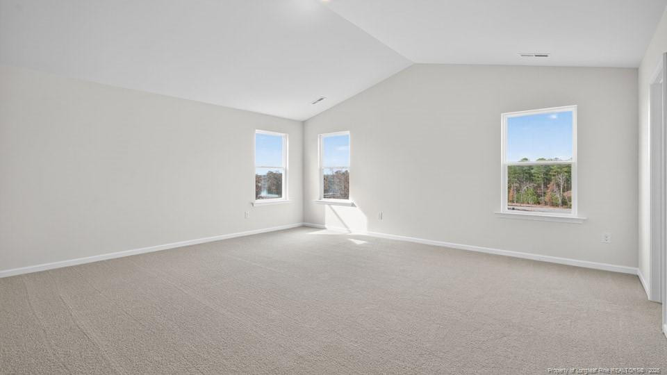 49 Calebs Corner Place Property Photo 18