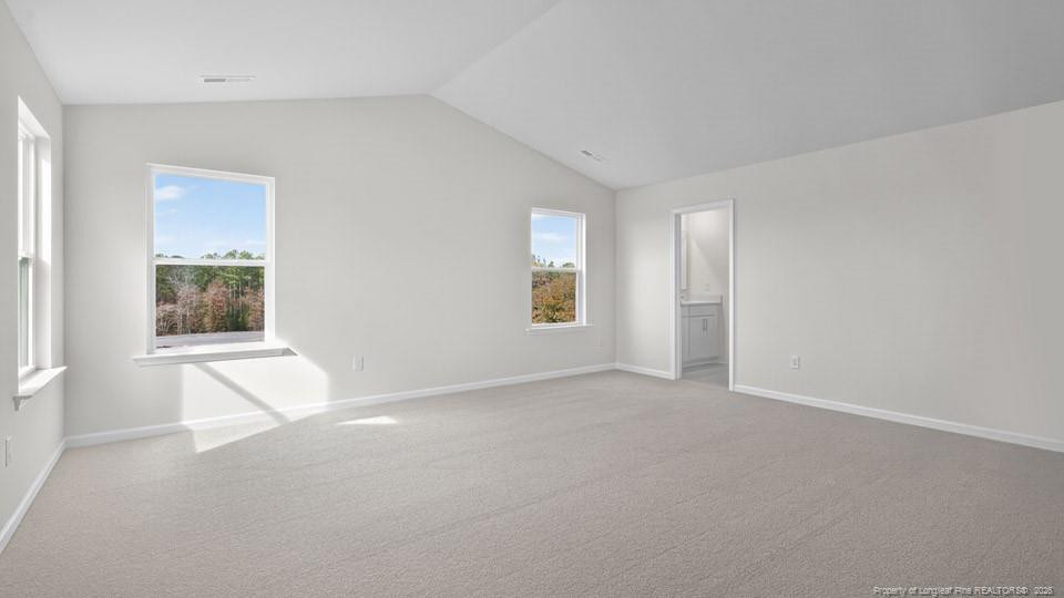 49 Calebs Corner Place Property Photo 20