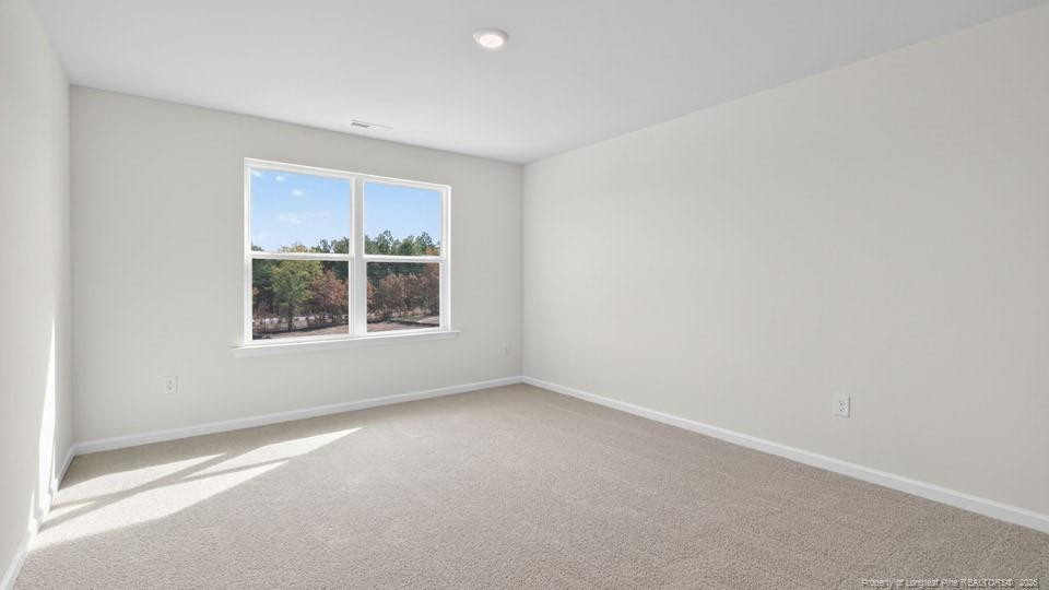 49 Calebs Corner Place Property Photo 21