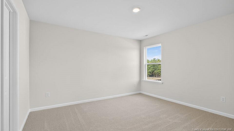 49 Calebs Corner Place Property Photo 24
