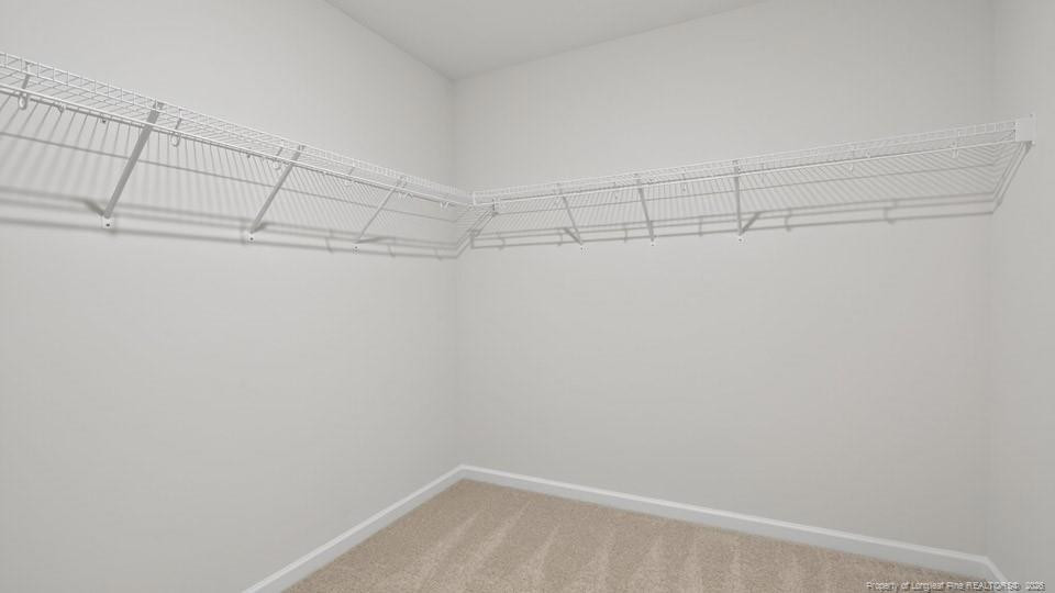 49 Calebs Corner Place Property Photo 30