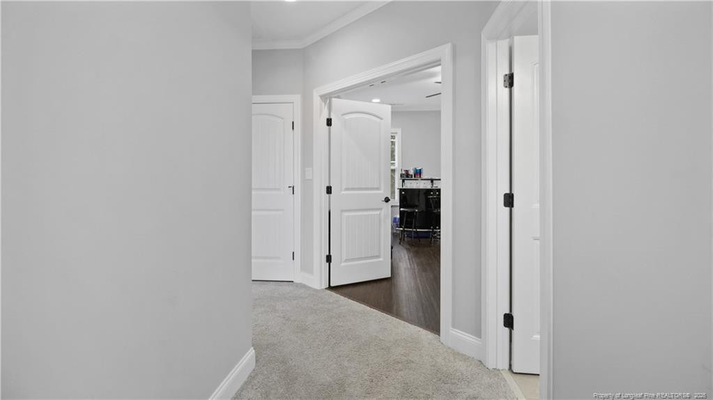 56 Skipping Pines Court Property Photo 18