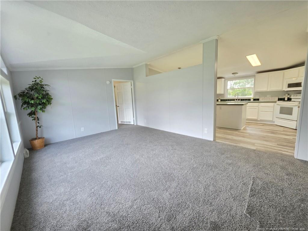124 Franklin Road Property Photo 5