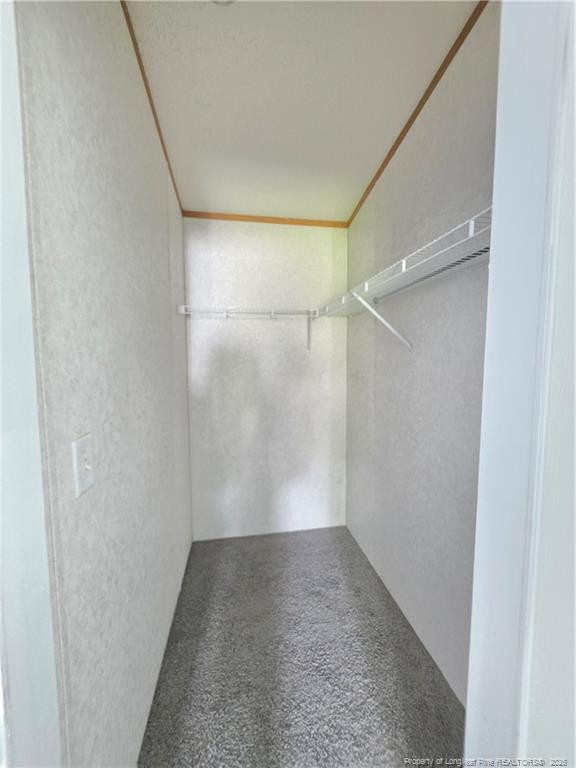 124 Franklin Road Property Photo 20