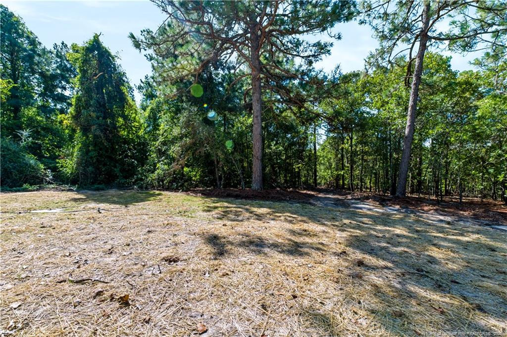 948 Pine Oak Property Photo 29