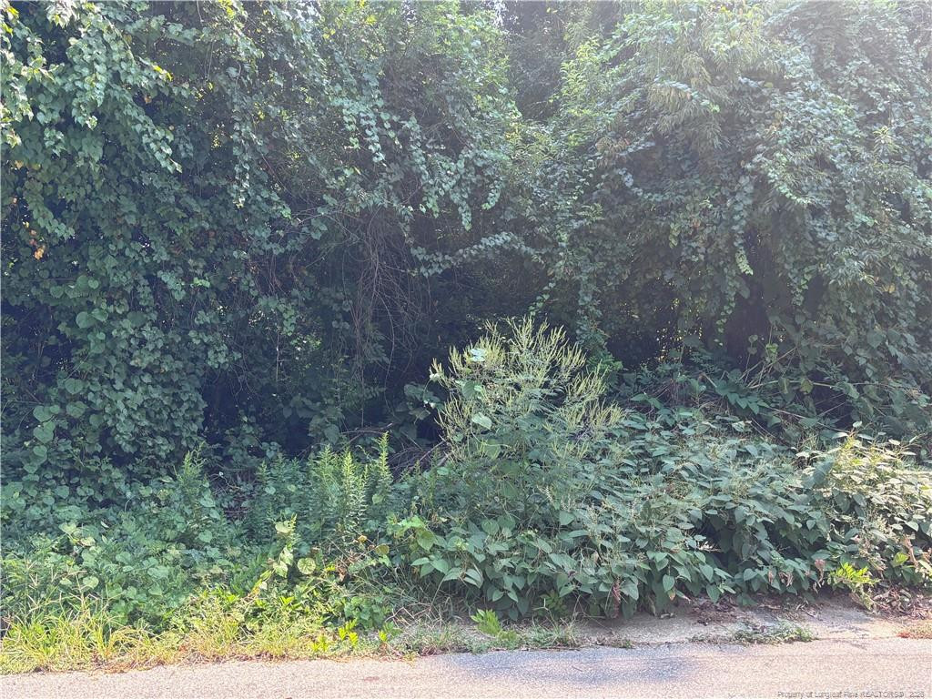 421 Preston Avenue Property Photo 1