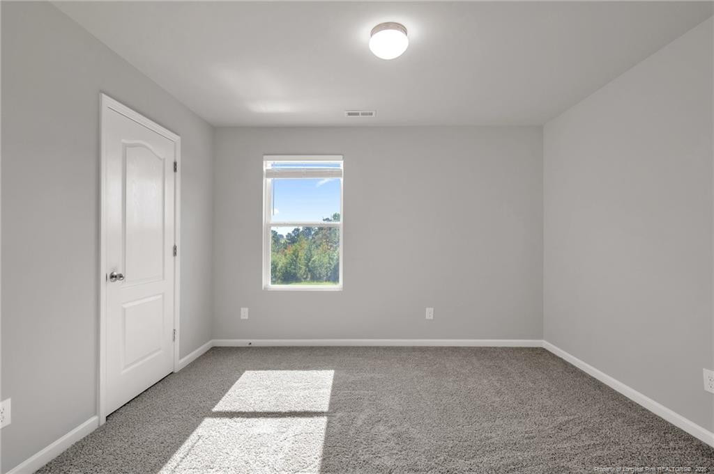 204 Hornet Drive Property Photo 24