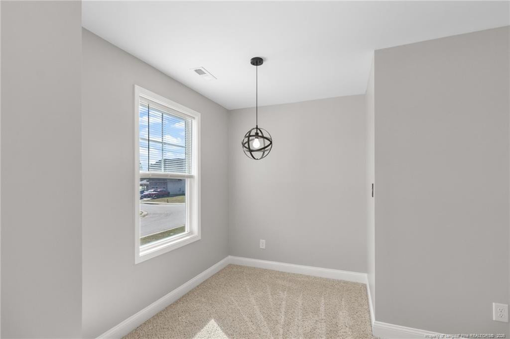 3846 Standardbred Drive Property Photo 20