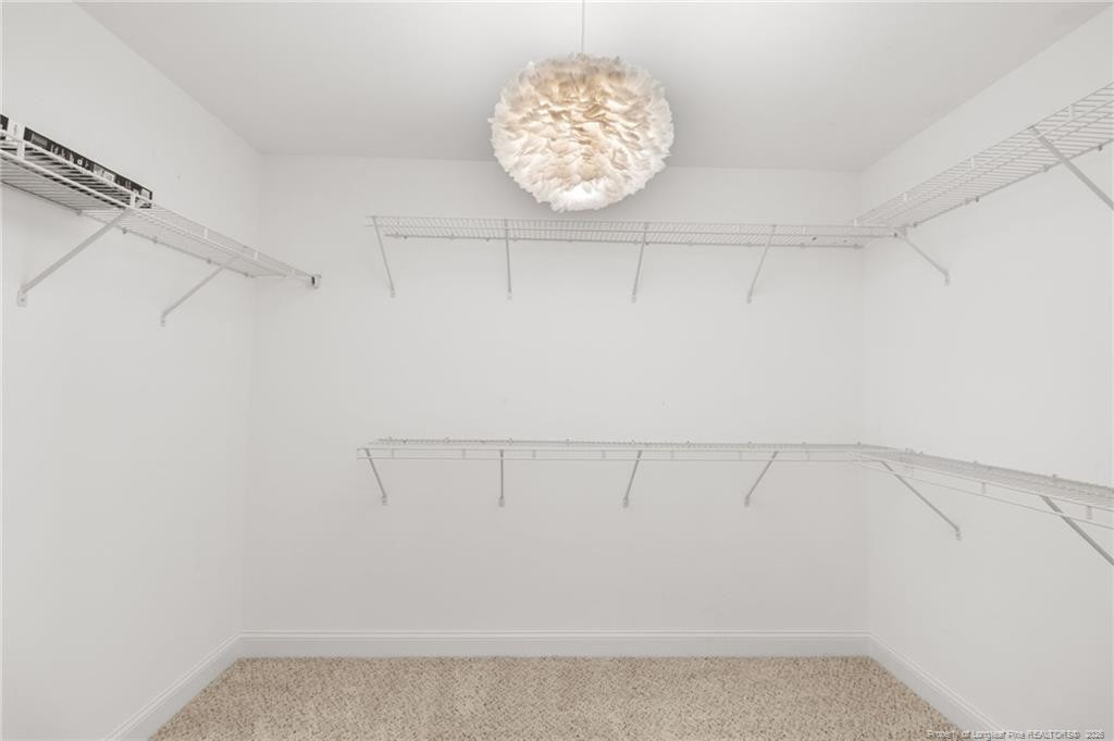 3846 Standardbred Drive Property Photo 25