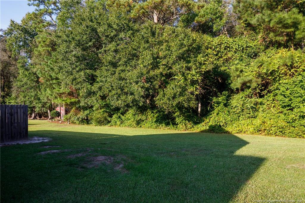 2060 Orville Street Property Photo 26