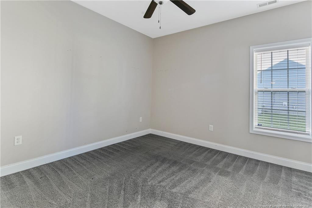 313 Fountain Grove Drive Property Photo 26