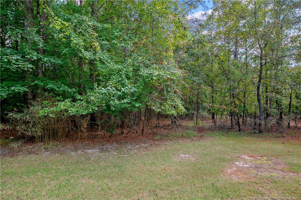 5 Clearwater Harbor Property Photo 50
