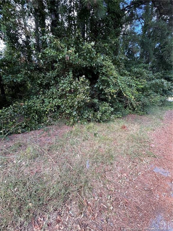 1100 Vass Road Property Photo 4