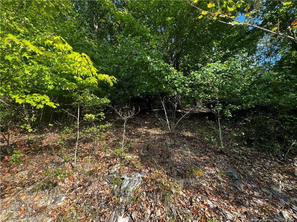 2013 Sandalwood Drive Property Photo 7