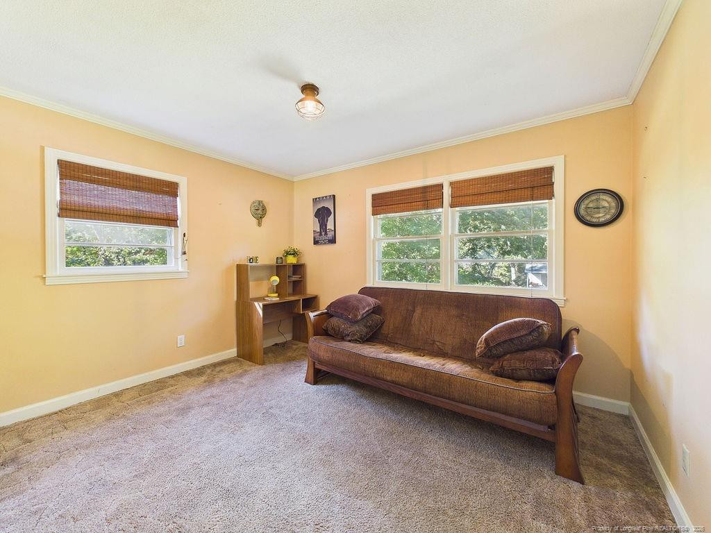 3117 Kendale Drive Property Photo 16