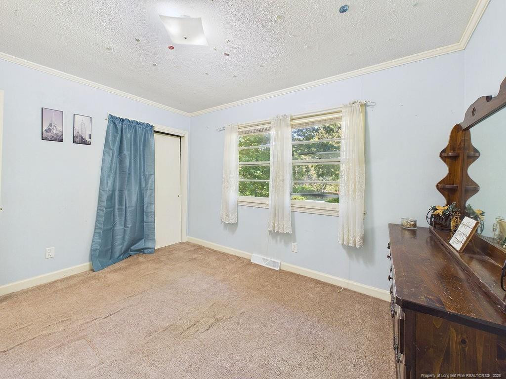 3117 Kendale Drive Property Photo 21