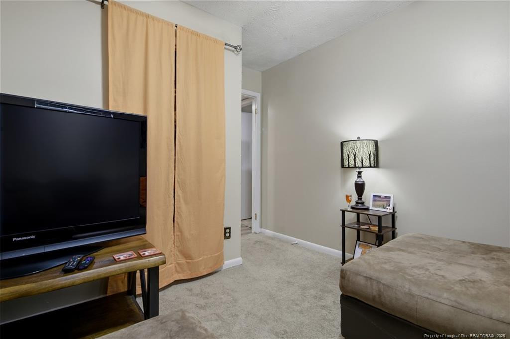 6841 Brasswood Drive Property Photo 35