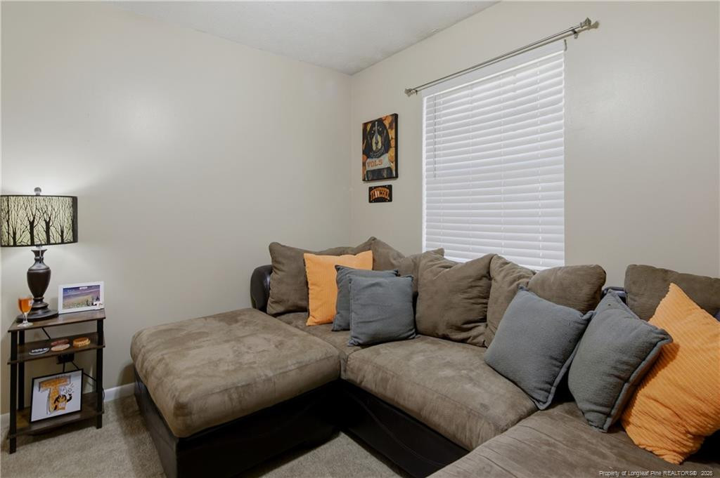 6841 Brasswood Drive Property Photo 36
