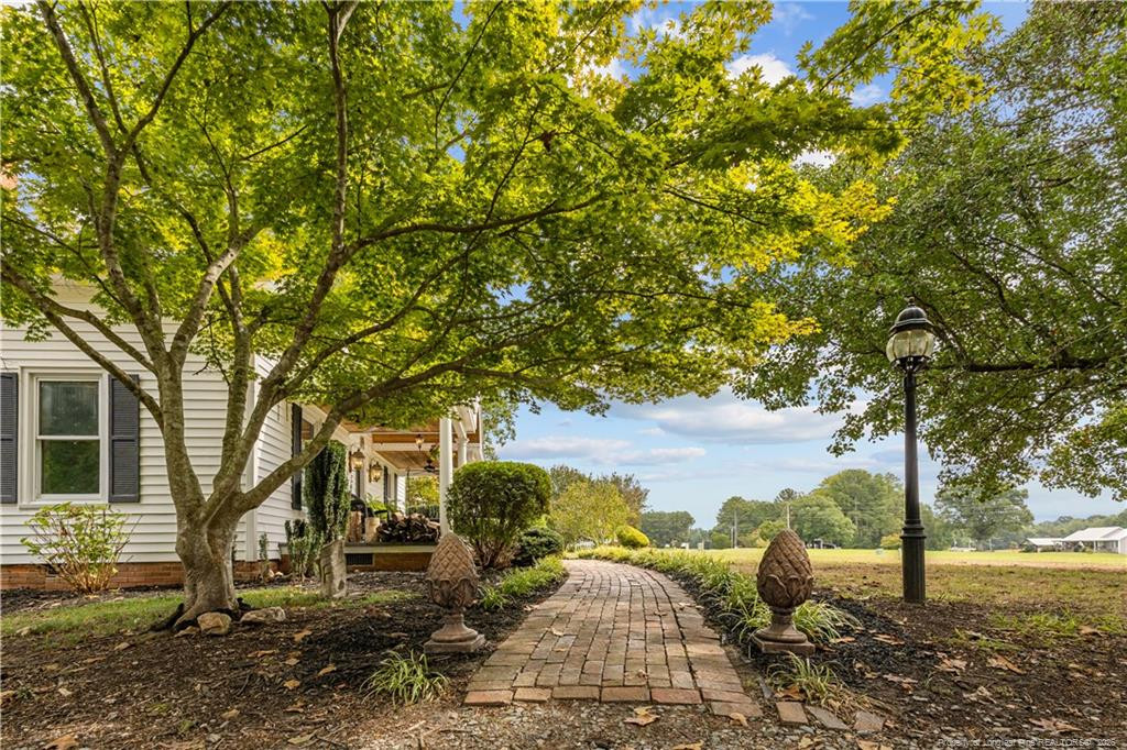 2851 Lower Moncure Road Property Photo 37