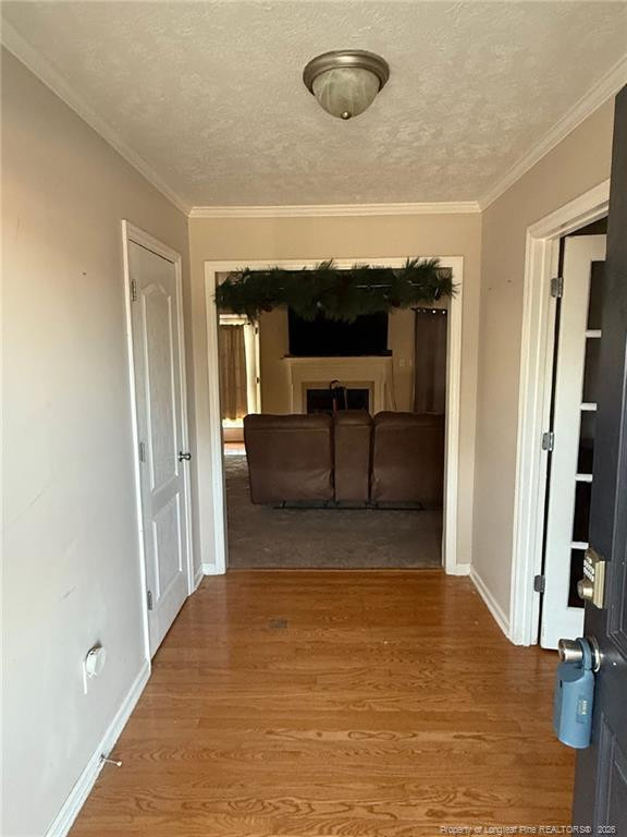3414 Rudland Court Property Photo 2