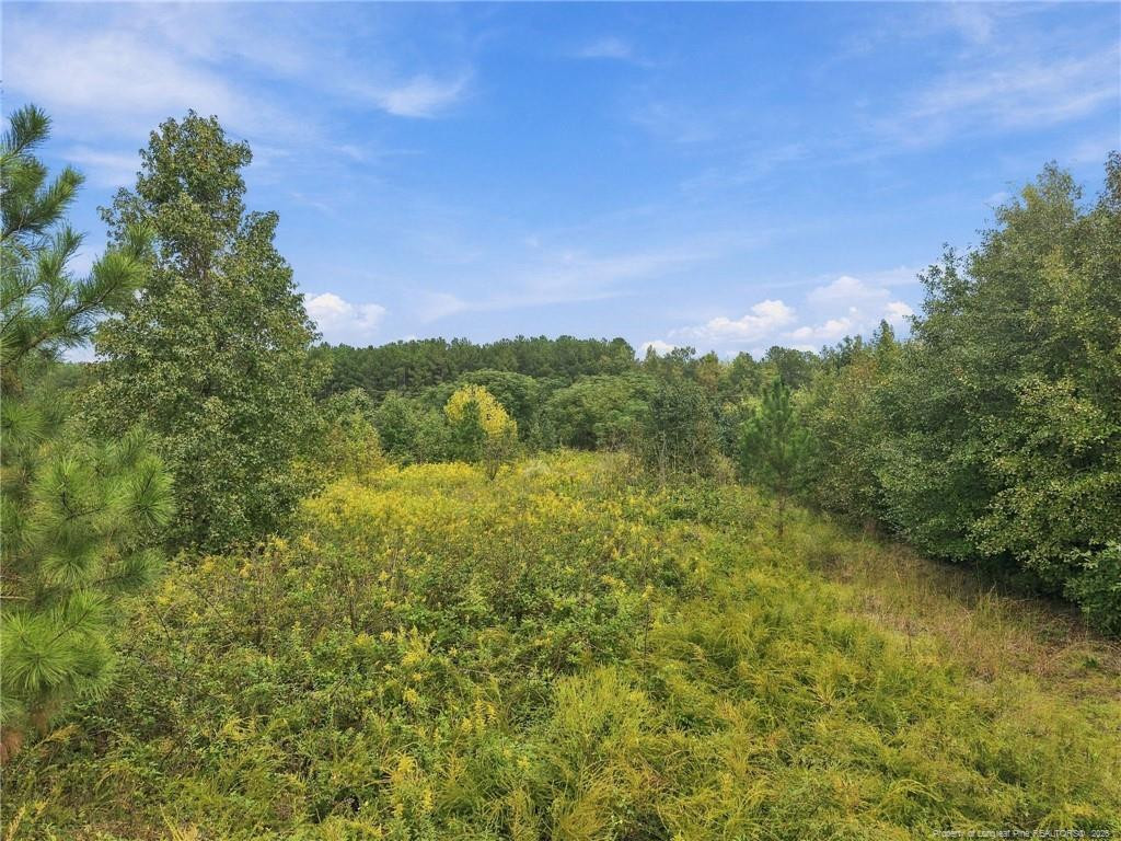 Green Street Property Photo 6
