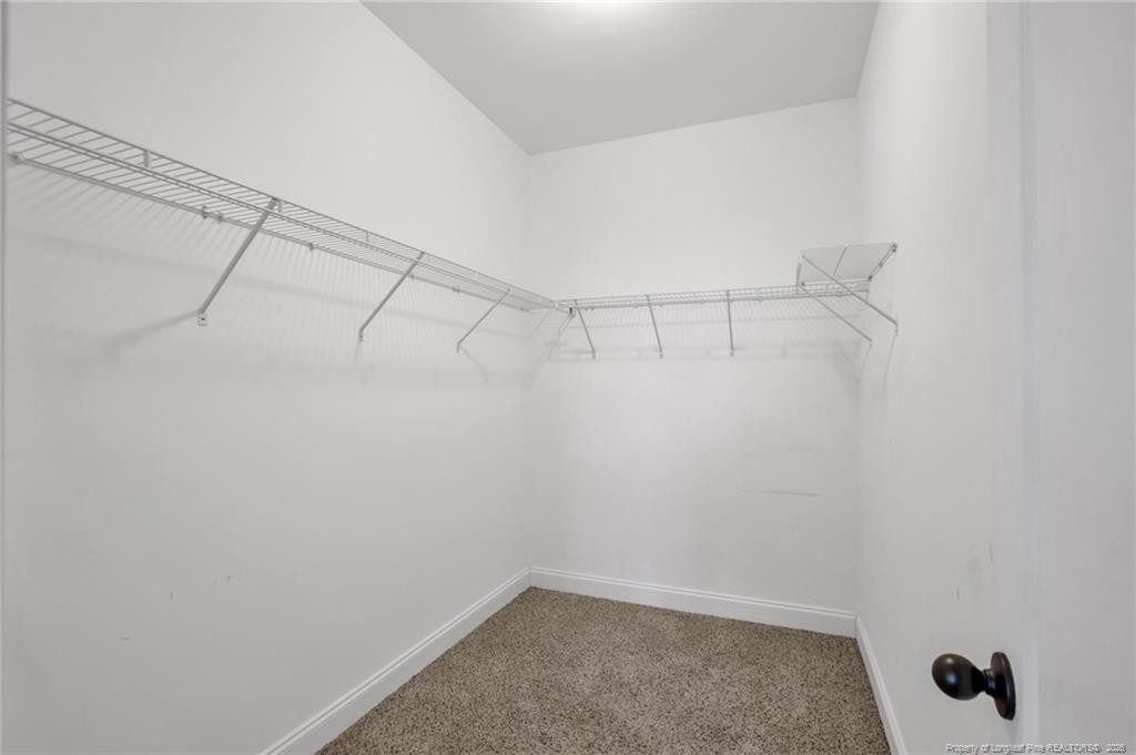 209 Meherrin Loop Property Photo 24