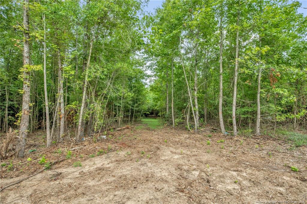 00 Riverstead (lot 2) Road W Property Photo 11