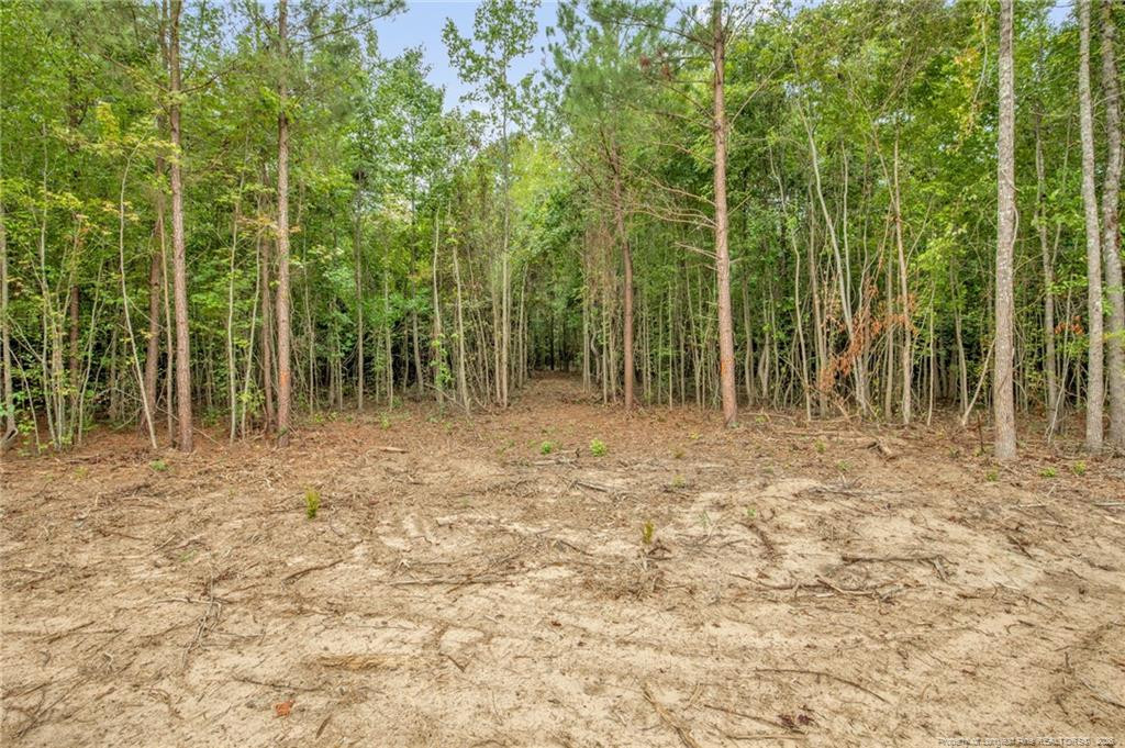 00 Riverstead (lot 2) Road W Property Photo 12