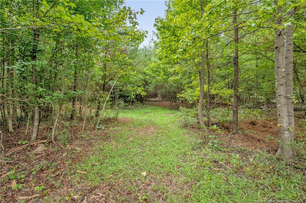 00 Riverstead (lot 2) Road W Property Photo 13