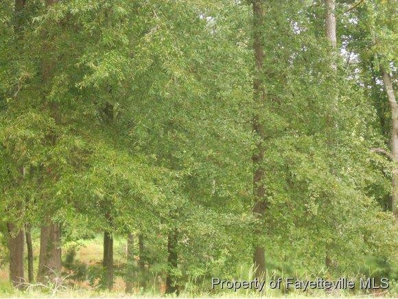 75 Anderson (lot 317) Lake Property Photo 1