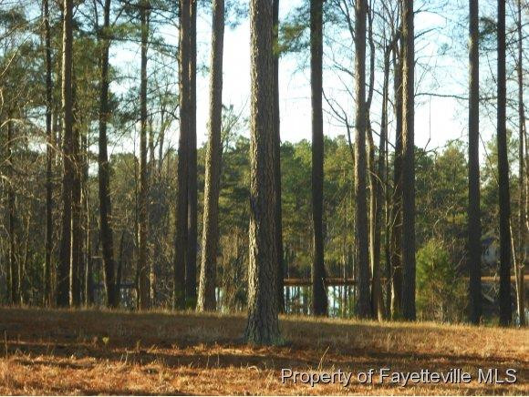 366 Falling Water Property Photo 1