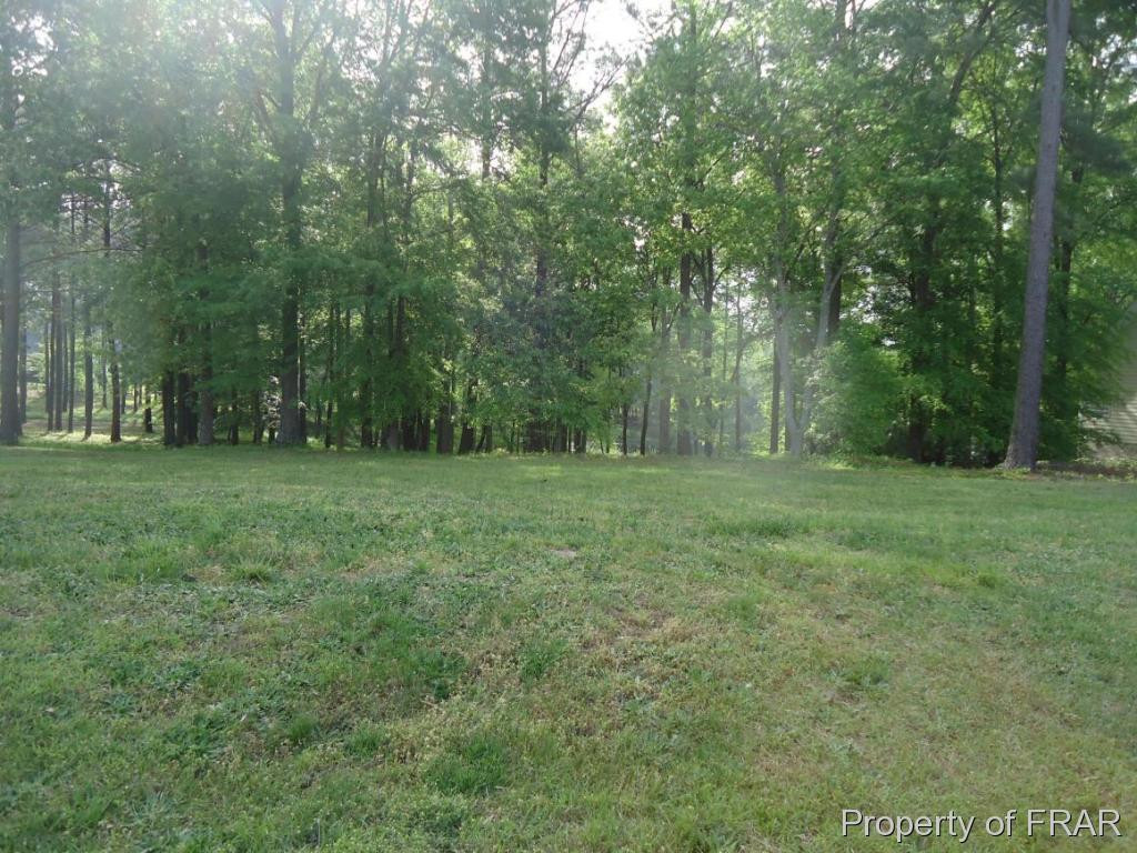 436 Falling Water (lot 280) Road Property Photo 1
