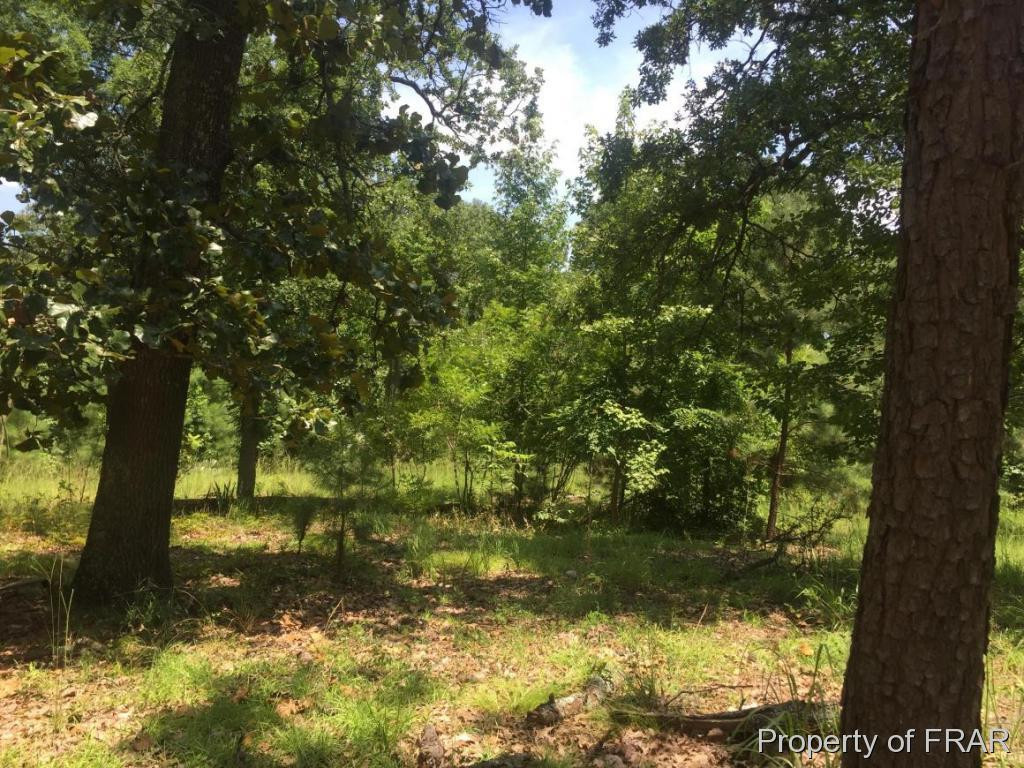 810 Buchanan Road Property Photo 1