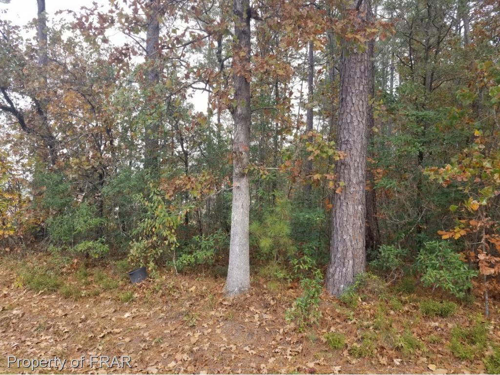 2430 Lake Upchurch Drive Property Photo 1