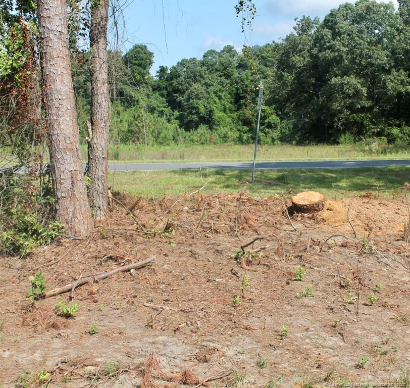 Laurinburg Road Highway S Property Photo 1