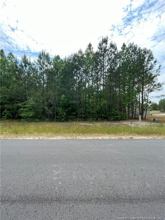 0 Eaker Drive Property Photo 1