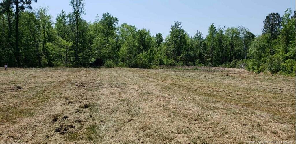 4228 Nc Highway 210 Property Photo 1
