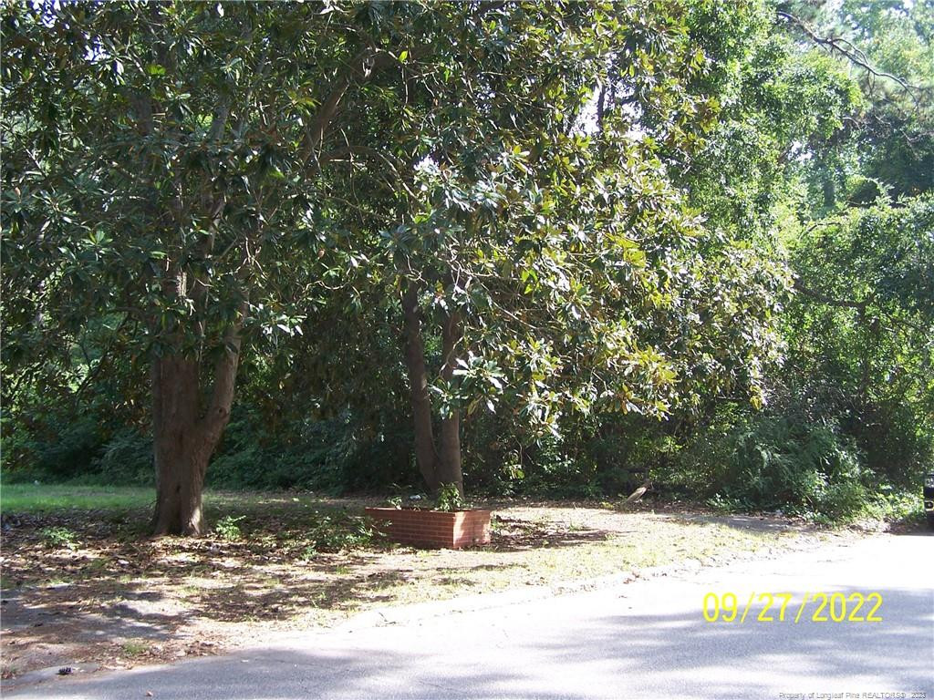 706 Raleigh Street Property Photo 3