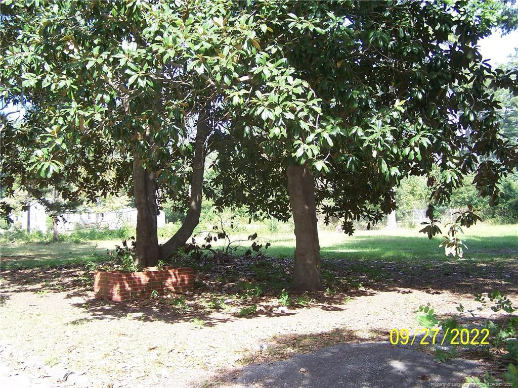 706 Raleigh Street Property Photo 5