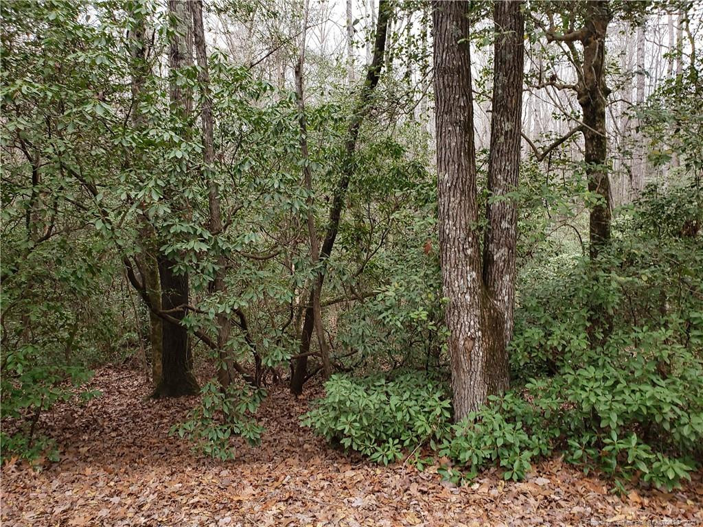 1313 Indiana Circle Property Photo 6