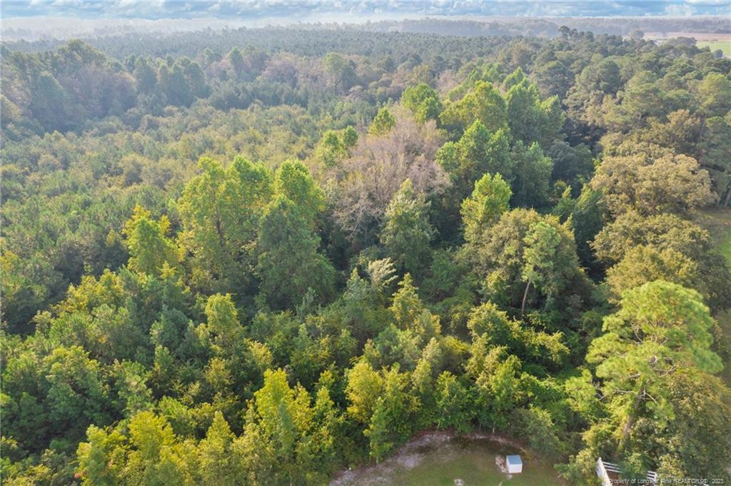 100 Tom Cat Lane Property Photo 1