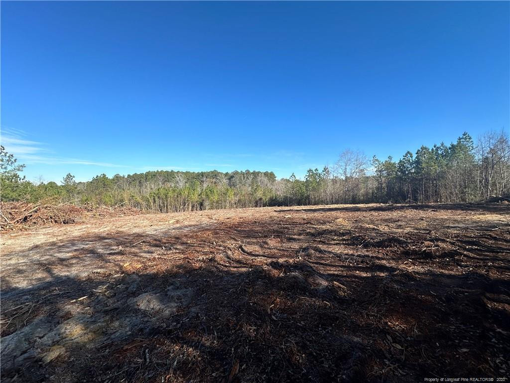 520 Treebark Lane Property Photo 1