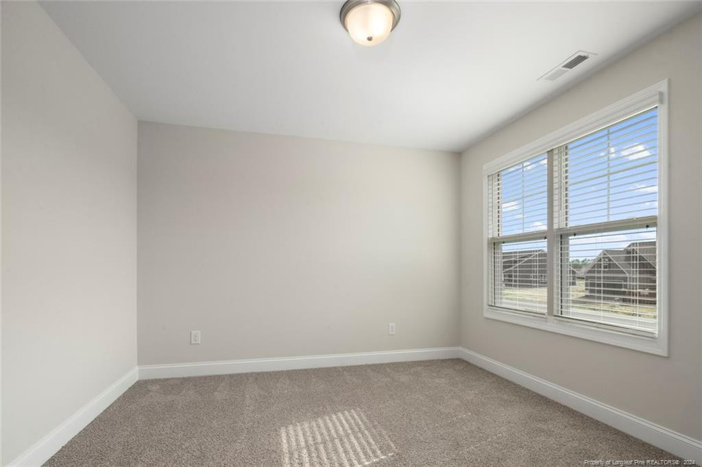 53 Hillwood Drive Property Photo 41