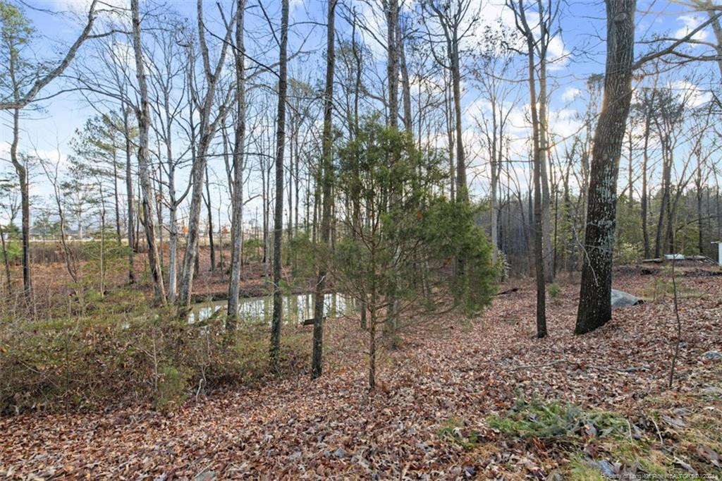 4901 Tv Tower Road Property Photo 3