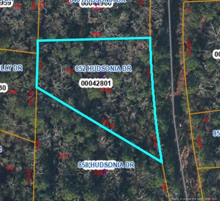 852 Hudsonia Drive Property Photo 1