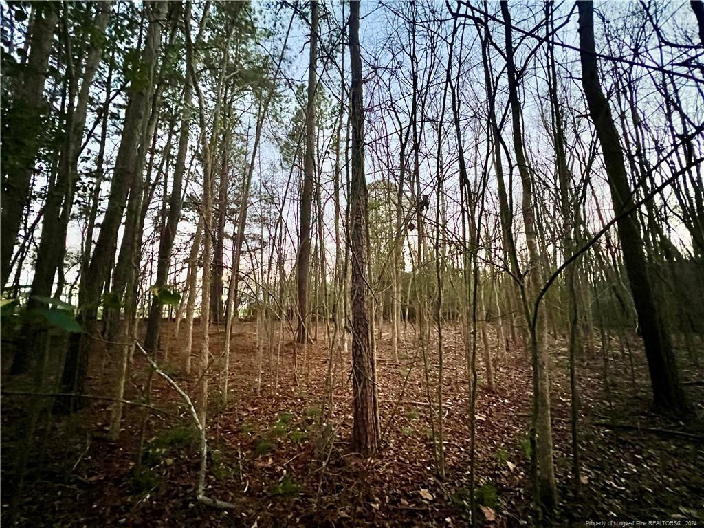1871 River Road Property Photo 2