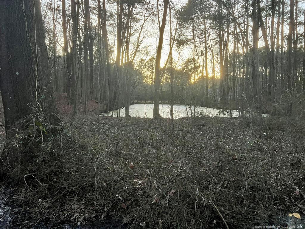 1871 River Road Property Photo 3