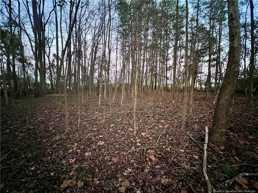 1871 River Road Property Photo 4