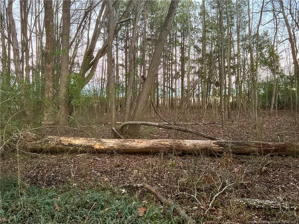 1871 River Road Property Photo 7