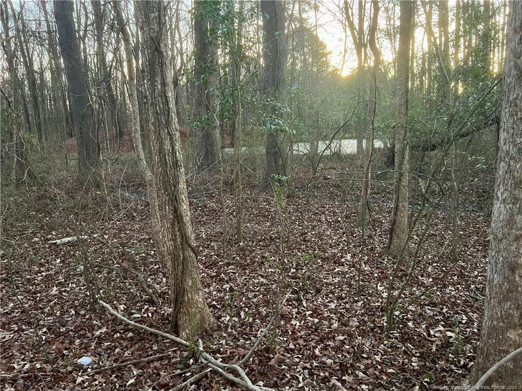 1871 River Road Property Photo 8